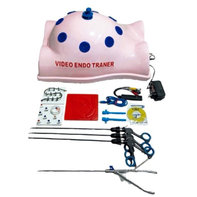 Full Body Shape Endotrainer