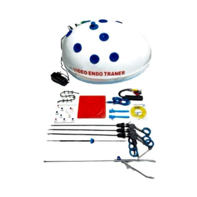 Oval Shape Endotrainer 