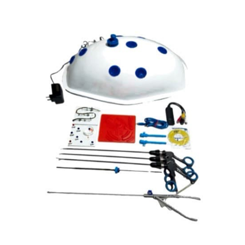 Beetle Shape Endotrainer